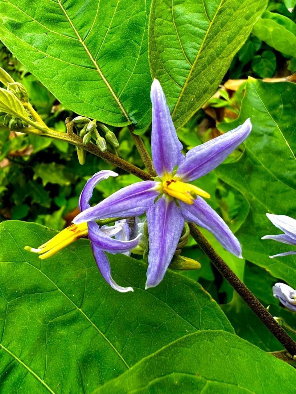 Arrecifes Refugio Natural 圣玛尔塔 外观 照片